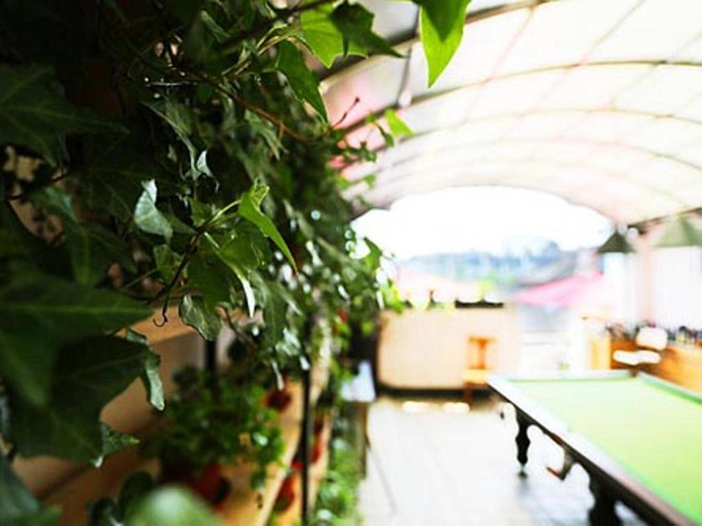 Nanjing Sunflower International Youth Hostel Exterior photo